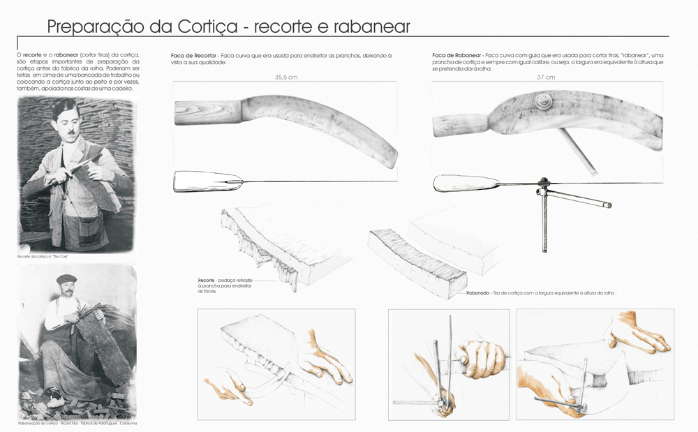 Quest3 image 1.3. introduction